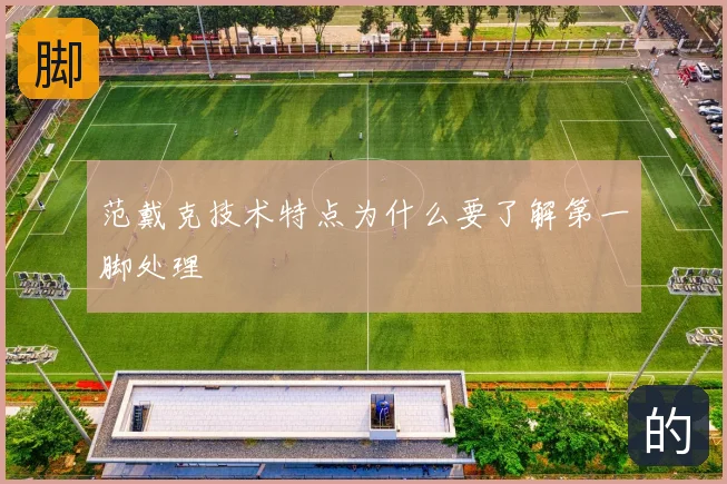 范戴克技术特点为什么要了解第一脚处理